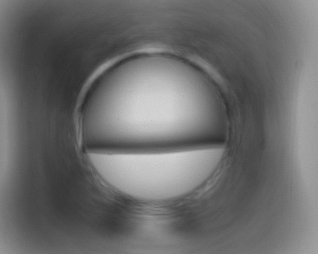 X0000114561175200910191005