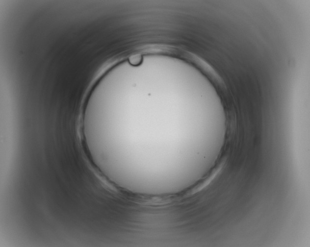 X0000114561178200910191005