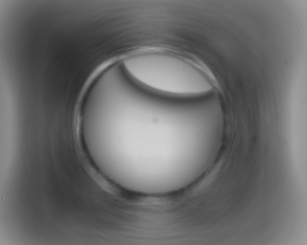 X0000114561179200910191005