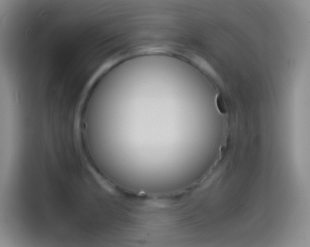 X0000114561181200910191005
