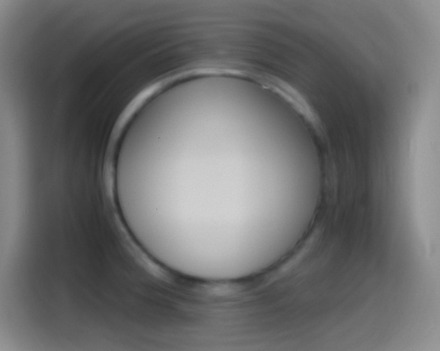X0000114561188200910191005