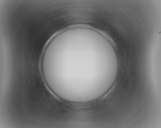 X0000114561189200910191005
