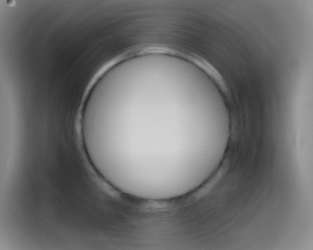 X0000114561190200910191005