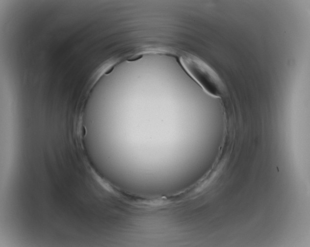 X0000114561193200910191005