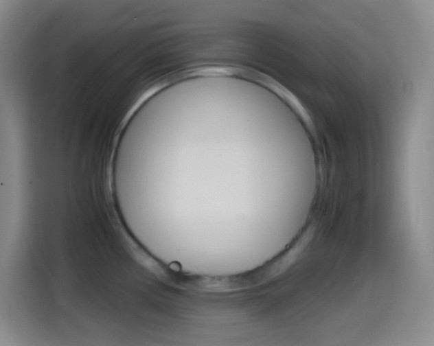 X0000114561194200910191005