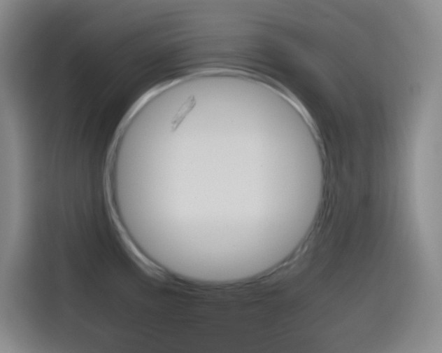 X0000114561195200910191005