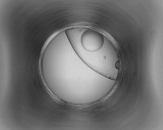 X0000114561196200910191005