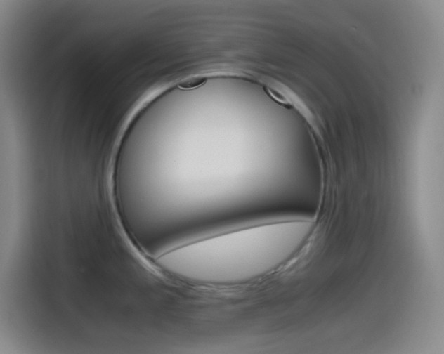 X0000114561197200910191005