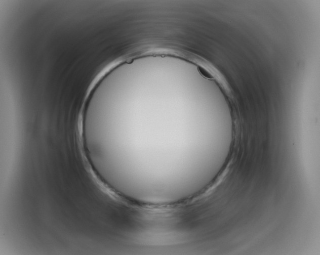 X0000114561198200910191005