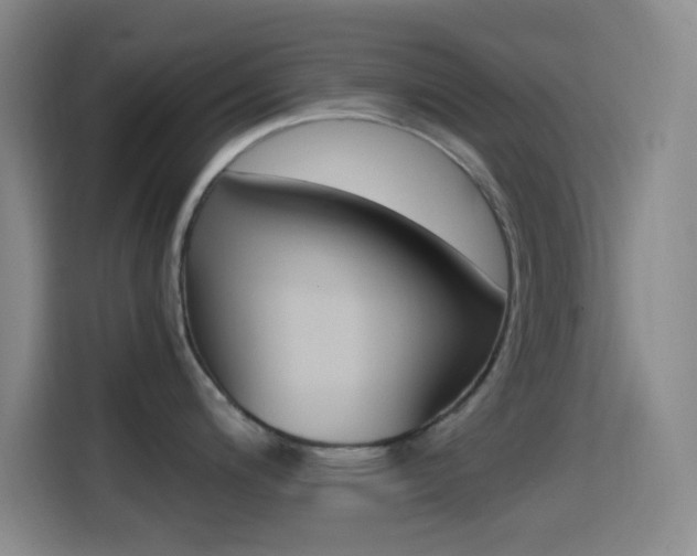 X0000114561200200910191005