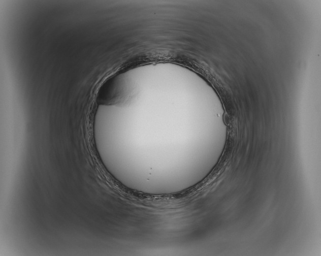 X0000114561201200910191004