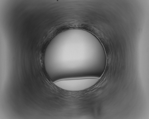 X0000114561202200910191004