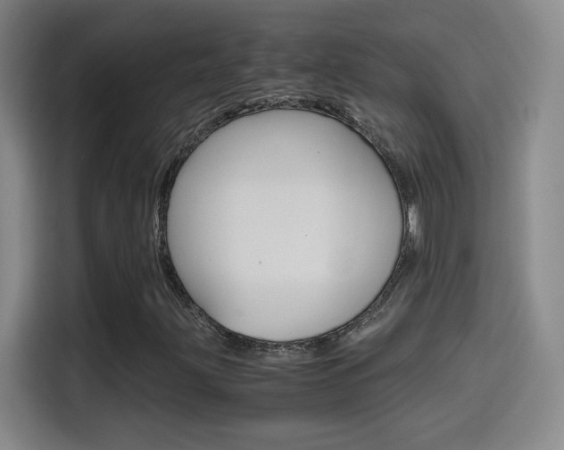 X0000114561203200910191004