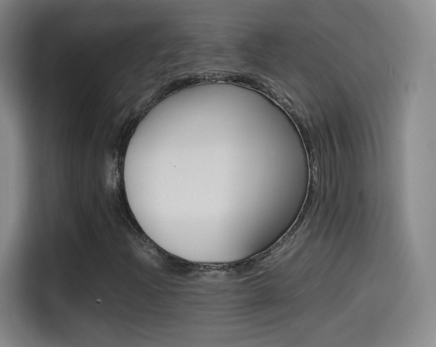 X0000114561204200910191004