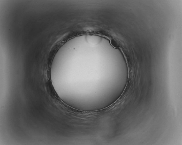 X0000114561205200910191004