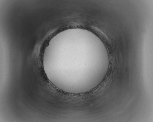 X0000114561207200910191004