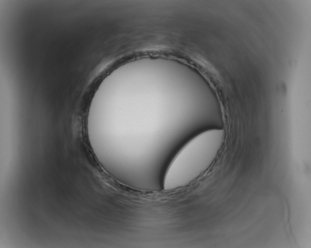 X0000114561208200910191004