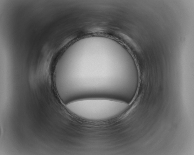 X0000114561209200910191004