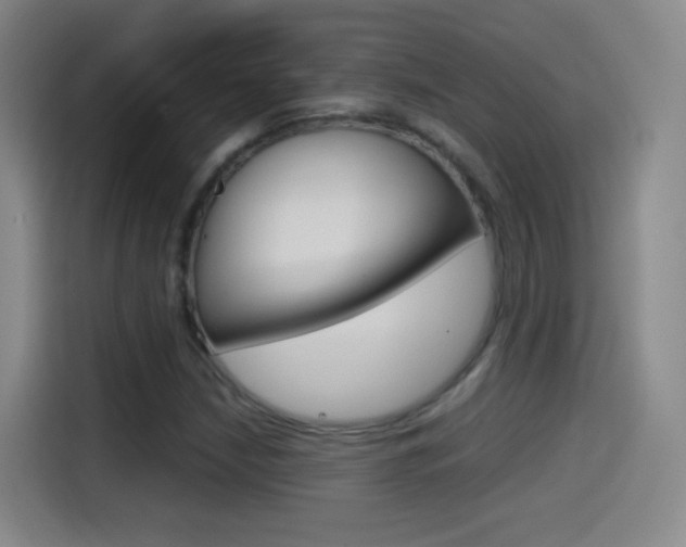 X0000114561210200910191004