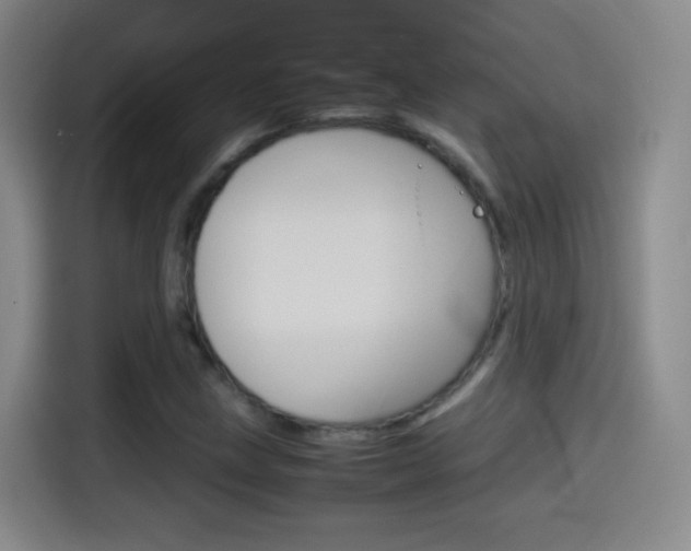 X0000114561211200910191004