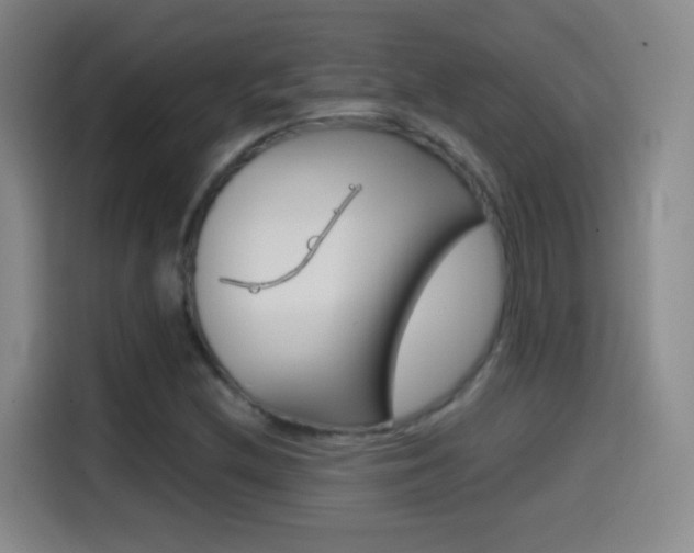 X0000114561212200910191004