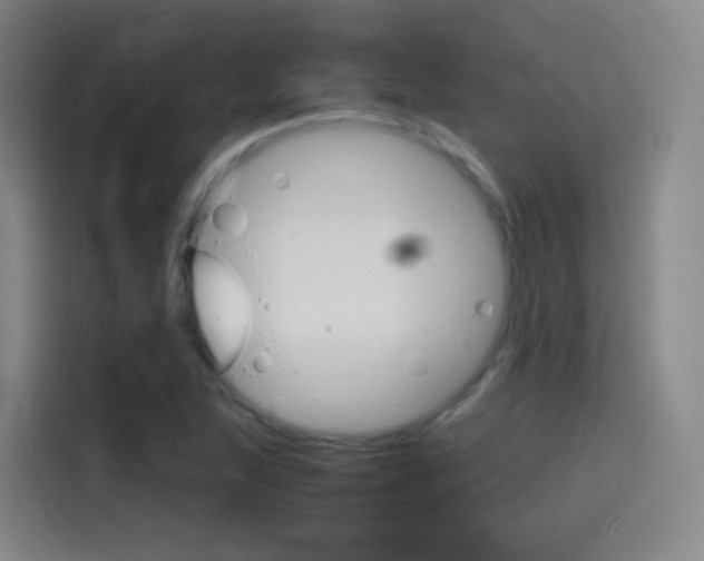 X0000114561215200910191004