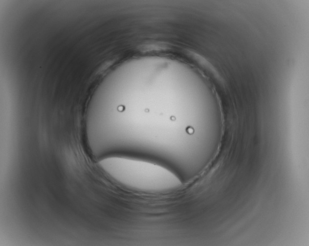 X0000114561217200910191004