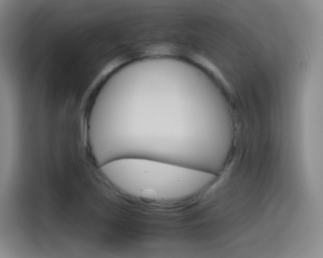 X0000114561219200910191005