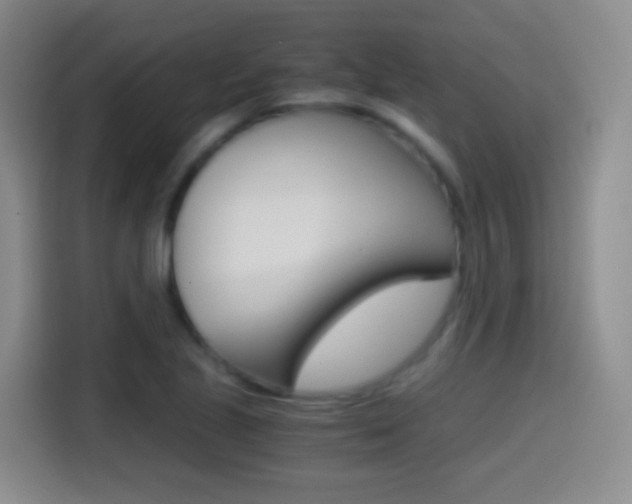X0000114561221200910191005