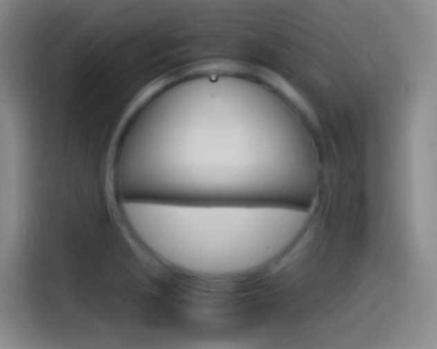 X0000114561229200910191005