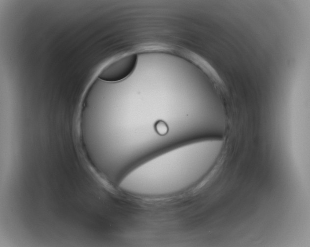 X0000114561236200910191005