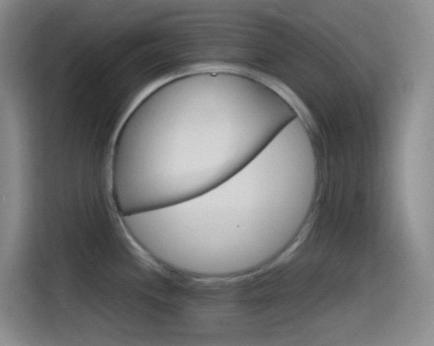 X0000114561244200910191005