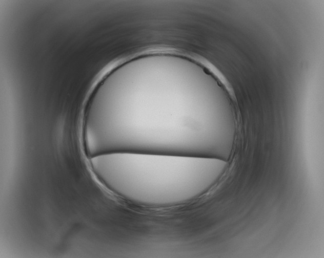 X0000114561245200910191005