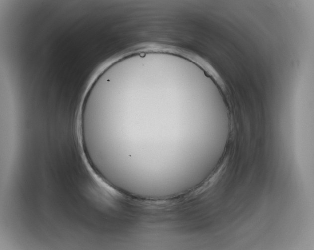 X0000114561247200910191005