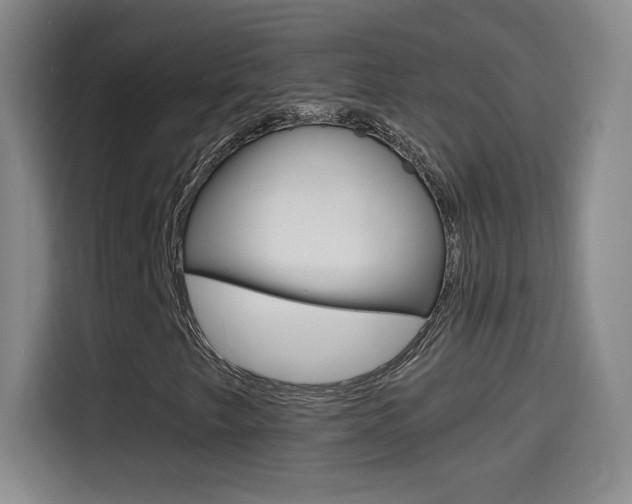 X0000114561249200910191004