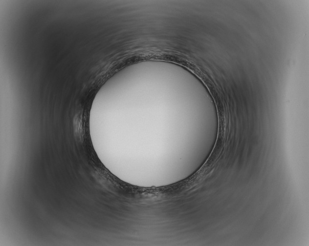 X0000114561250200910191004