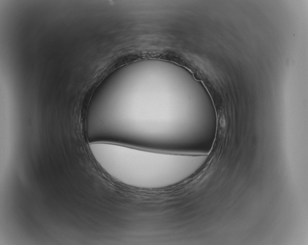 X0000114561252200910191004