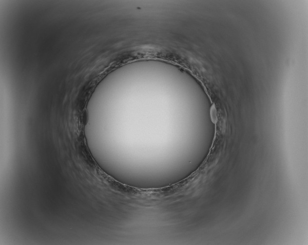 X0000114561253200910191004