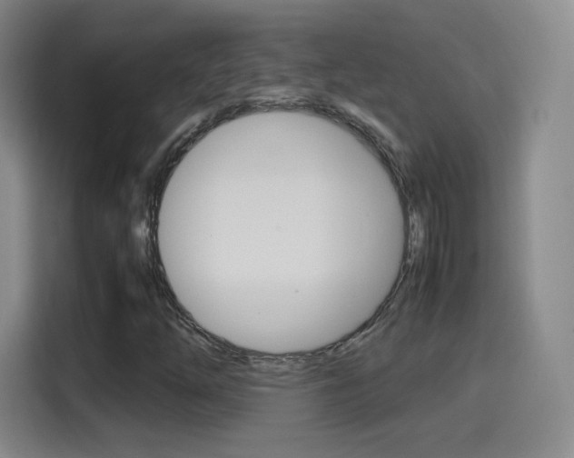 X0000114561254200910191004