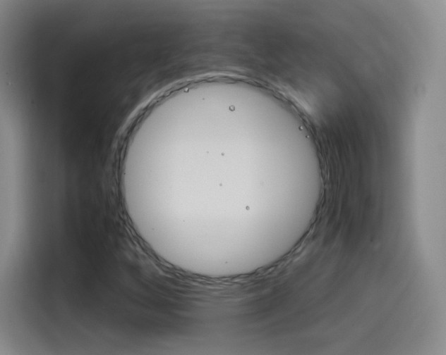 X0000114561256200910191004