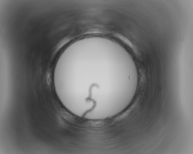 X0000114561258200910191004