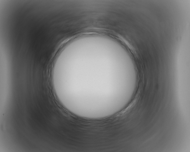 X0000114561259200910191004