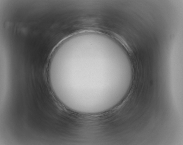 X0000114561260200910191004