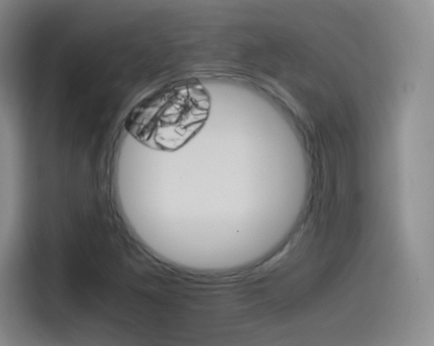 X0000114561261200910191004