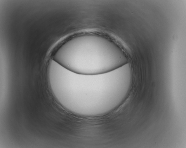 X0000114561262200910191004