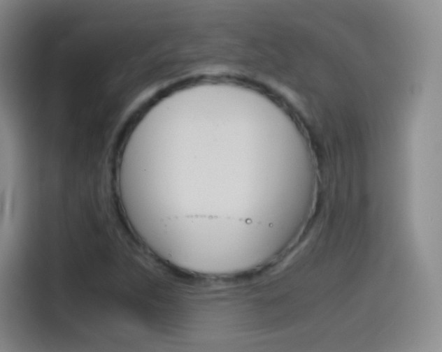 X0000114561263200910191004