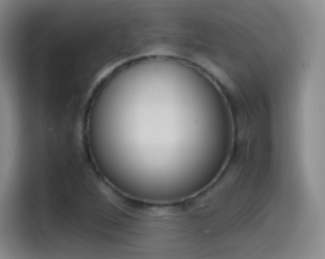X0000114561264200910191004