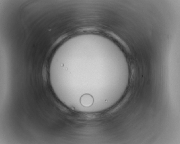 X0000114561266200910191004