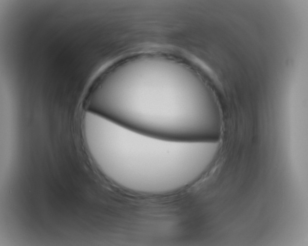 X0000114561267200910191004