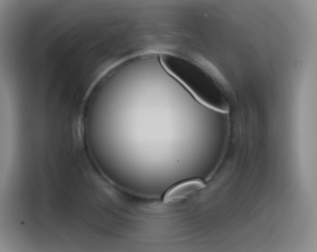 X0000114561268200910191004